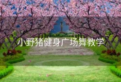 小野猪健身广场舞教学