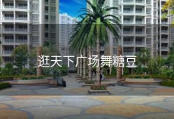 逛天下广场舞糖豆