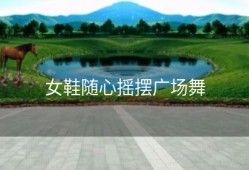 女鞋随心摇摆广场舞