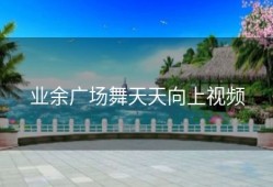 业余广场舞天天向上视频
