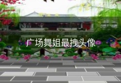 广场舞姐最拽头像