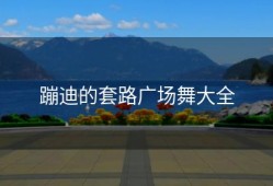 蹦迪的套路广场舞大全
