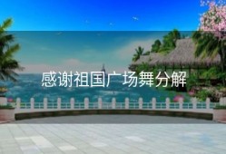 感谢祖国广场舞分解