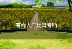 有缘人广场舞音响