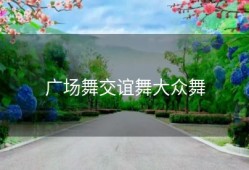 广场舞交谊舞大众舞