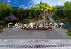 广场舞灵魂导师简介教学