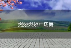 燃烧燃烧广场舞