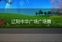 辽阳中华广场广场舞