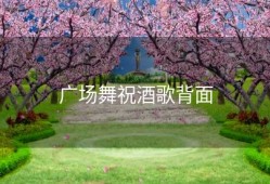 广场舞祝酒歌背面