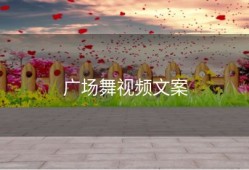 广场舞视频文案