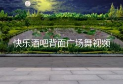 快乐酒吧背面广场舞视频