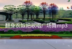 翻身农奴把歌唱广场舞mp3