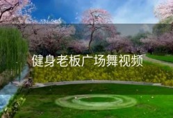 健身老板广场舞视频