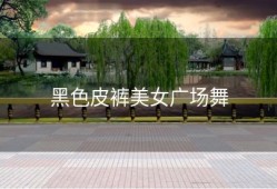 黑色皮裤美女广场舞