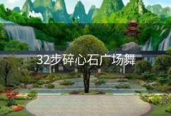 32步碎心石广场舞