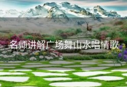 名师讲解广场舞山水唱情歌