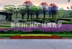 新年开门红广场舞教学