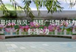 最炫民族风：楠楠广场舞的魅力与感染力