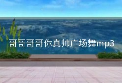 哥哥哥哥你真帅广场舞mp3