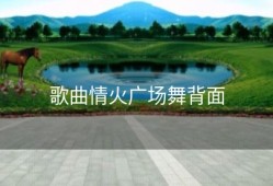 歌曲情火广场舞背面