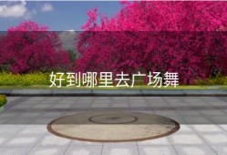 好到哪里去广场舞
