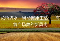 花桥流水，舞动健康生活——有氧广场舞的新风尚