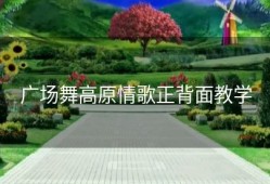 广场舞高原情歌正背面教学