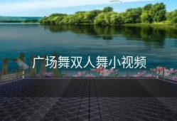 广场舞双人舞小视频