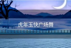 虎年玉快广场舞