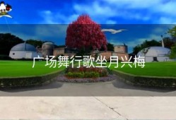 广场舞行歌坐月兴梅