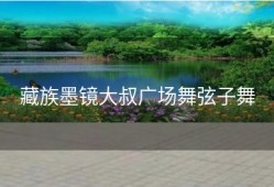 藏族墨镜大叔广场舞弦子舞
