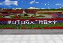 昆山玉山双人广场舞大全
