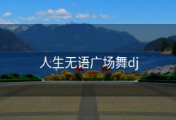 人生无语广场舞dj