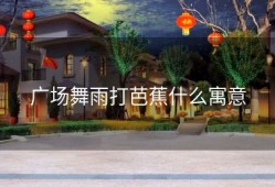 广场舞雨打芭蕉什么寓意