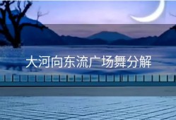 大河向东流广场舞分解