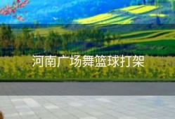 河南广场舞篮球打架