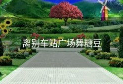 离别车站广场舞糖豆