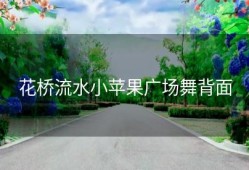 花桥流水小苹果广场舞背面