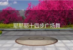 耶耶耶十四步广场舞