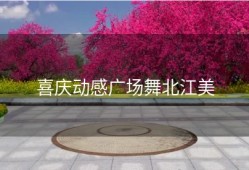 喜庆动感广场舞北江美