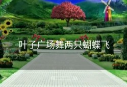 叶子广场舞两只蝴蝶飞