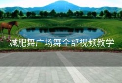 减肥舞广场舞全部视频教学