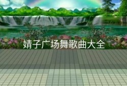婧子广场舞歌曲大全