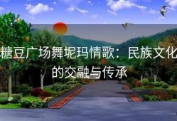 糖豆广场舞坭玛情歌：民族文化的交融与传承