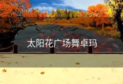 太阳花广场舞卓玛