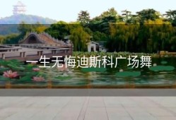 一生无悔迪斯科广场舞