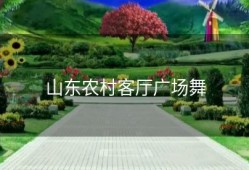 山东农村客厅广场舞