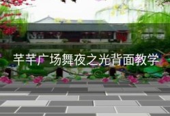 芊芊广场舞夜之光背面教学