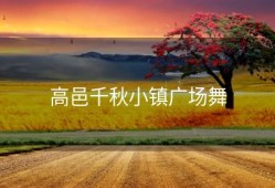 高邑千秋小镇广场舞