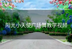 阳光小天使广场舞教学视频
